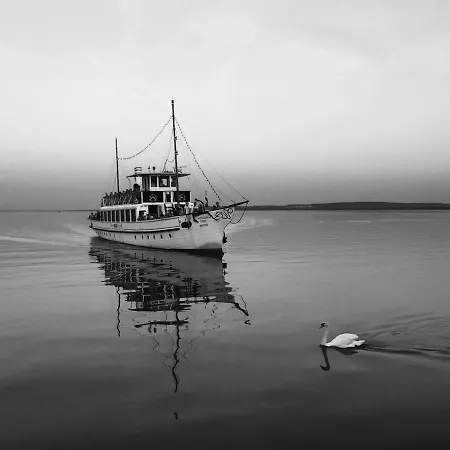 Dom wakacyjny Zamor House *