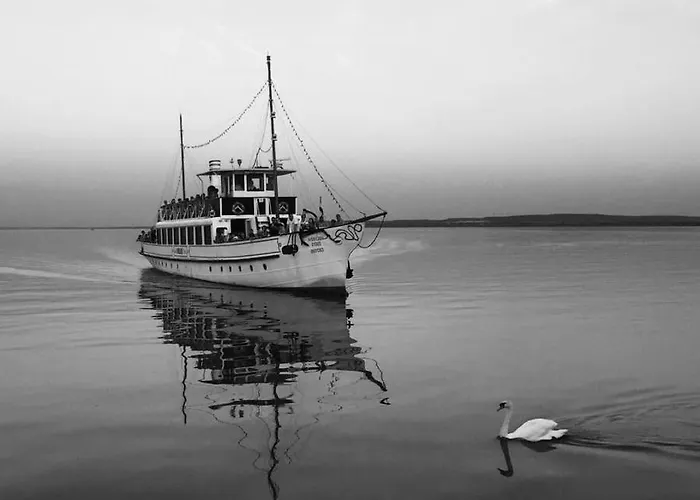 Dom wakacyjny Zamor House *